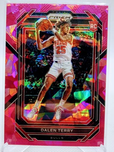 2022-23 Panini Prizm Dalen Terry Pink Ice Prizm Rookie #240 Chicago Bulls RC