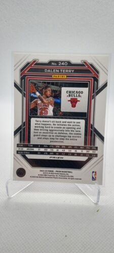 2022-23 Panini Prizm Dalen Terry Pink Ice Prizm Rookie #240 Chicago Bulls RC