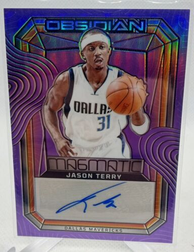 2023-24 Panini Obsidian Electric Etch Purple Flood /49 Jason Terry #MS-TER Auto